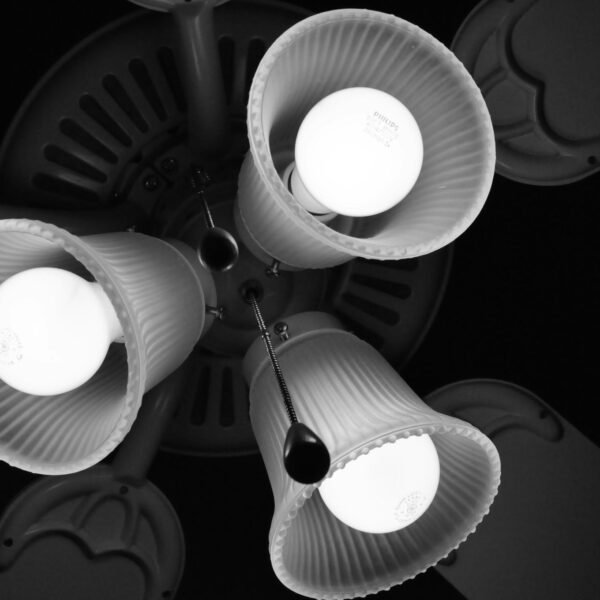 Wundercool Light Socket Fan Reviews: Is It Worth It?